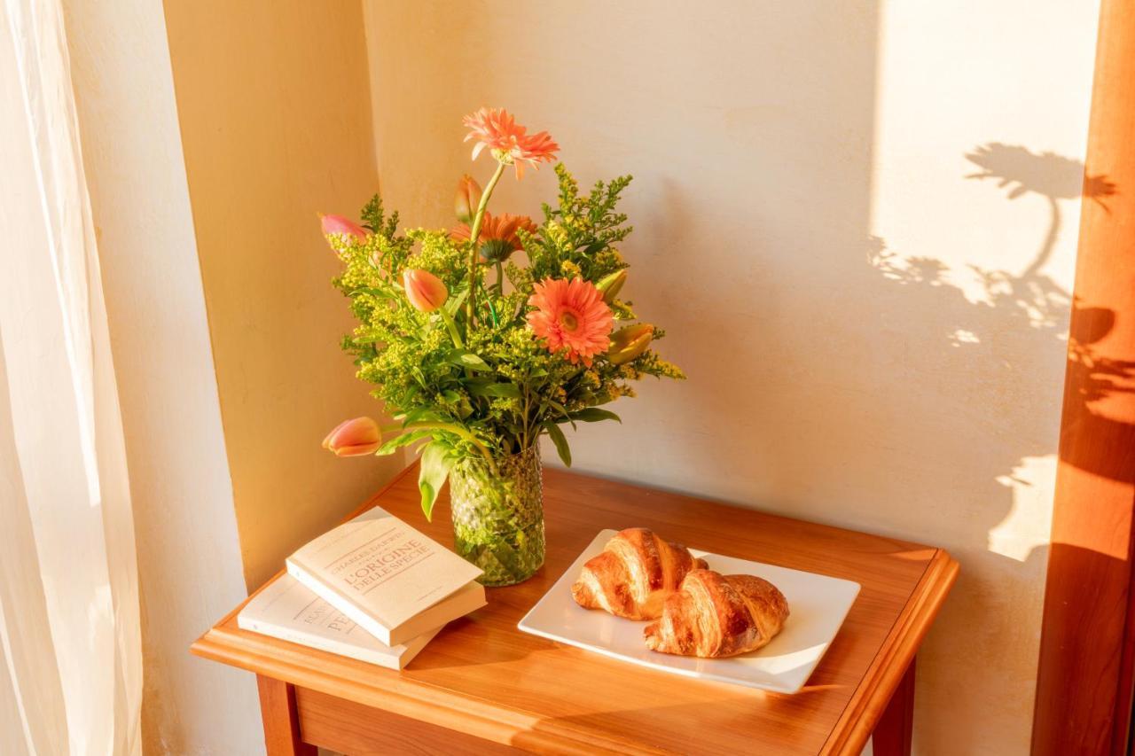 Bed and Breakfast Mediterraneo TartufoExperience Pizzo  Exterior foto